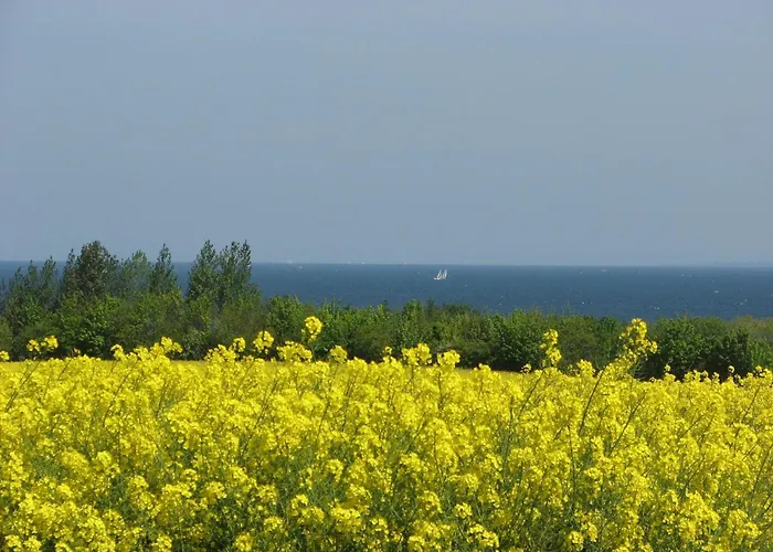 Thule An Der Ostsee - Abc368 - Nur Feriengaeste!